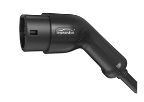 Qual é a diferença entre portas CCS e NACS?